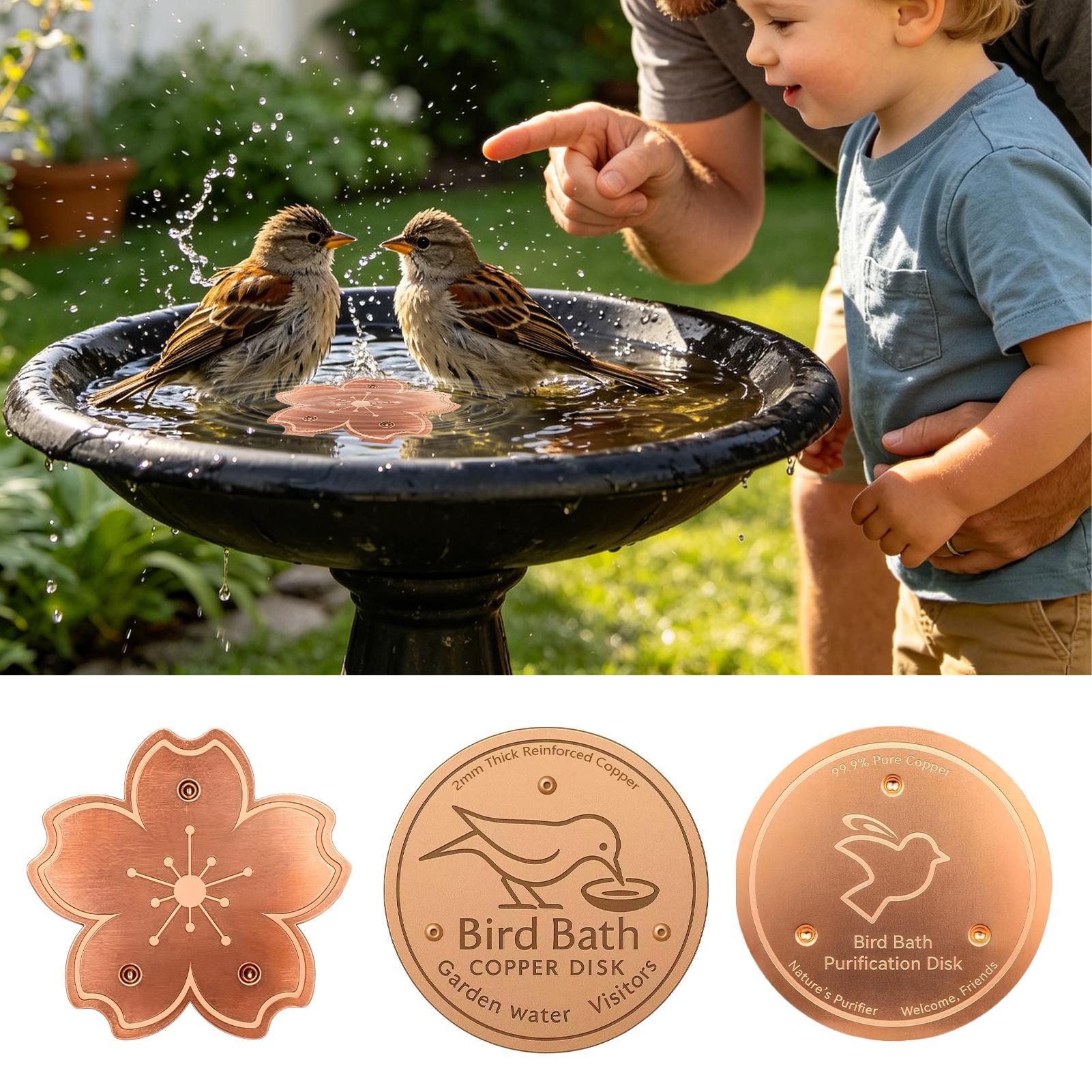 Copper For Bird Bath Safe Puri - مراجعة Watches Original وسعره